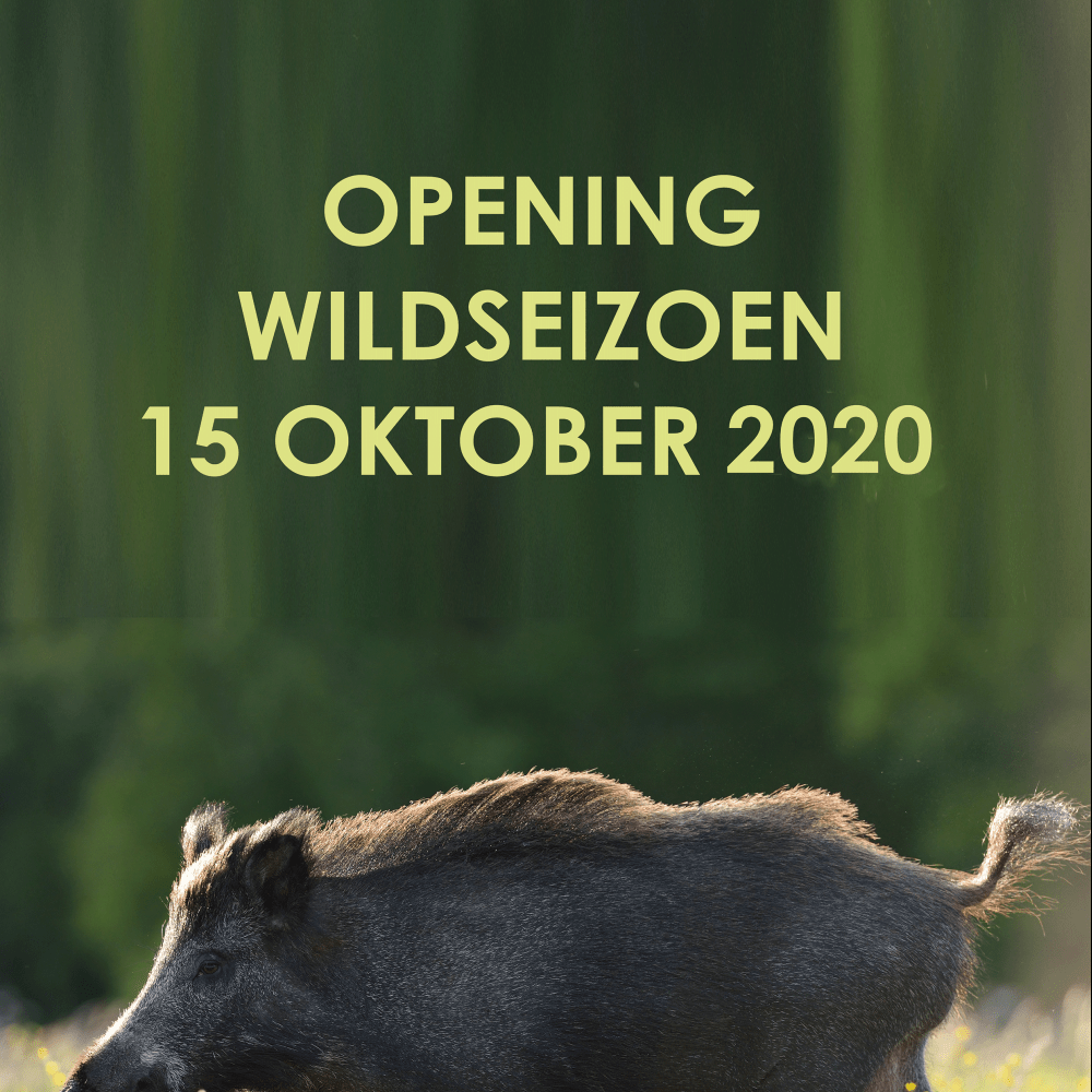 Opening wildseizoen! 15 Oktober 2020