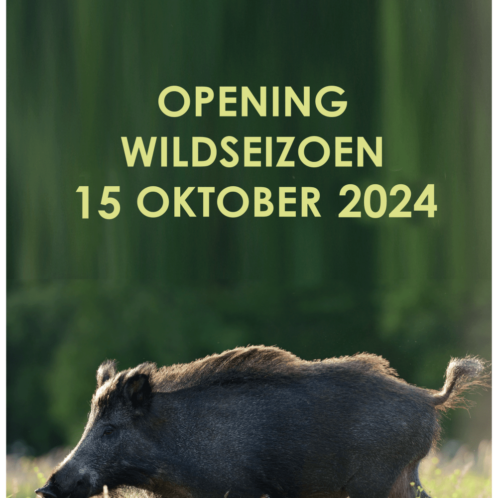 Wildseizoen geopend vanaf 15 oktober